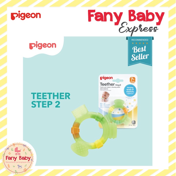 PIGEON TEETHER STEP 1 - 2