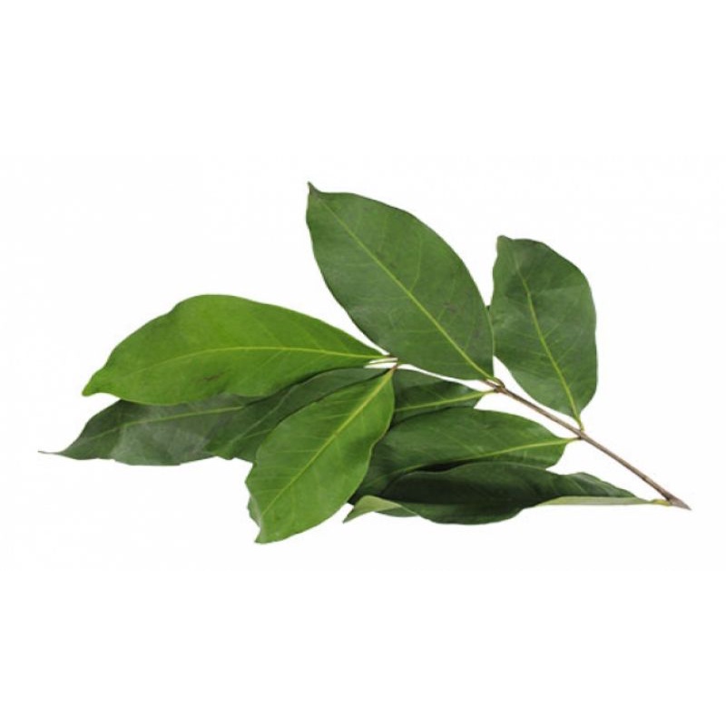 

Daun Salam