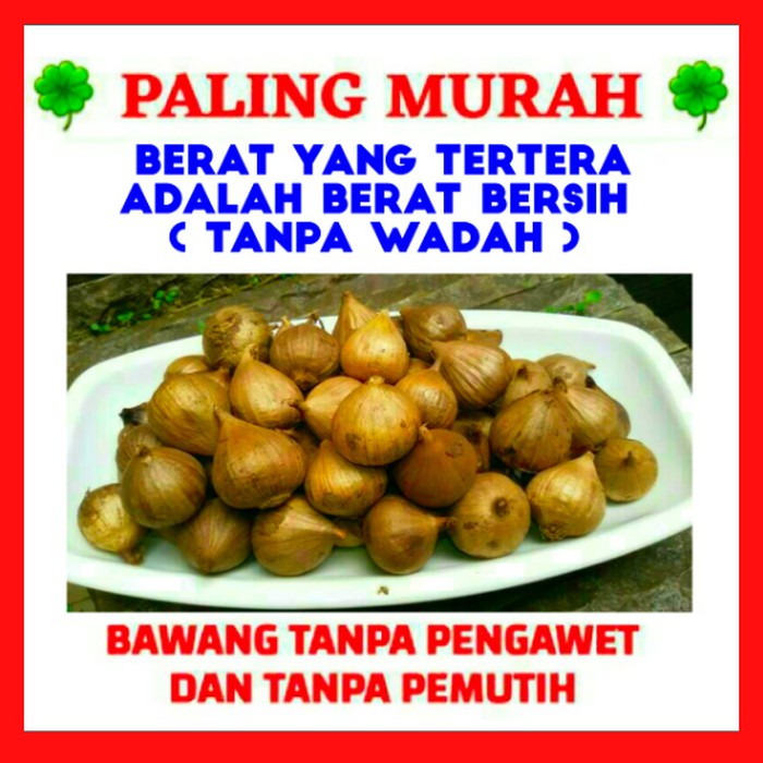 

Bawang Hitam Tunggal/Lanang/250 gr/1/4 Kg (PALING MURAH)