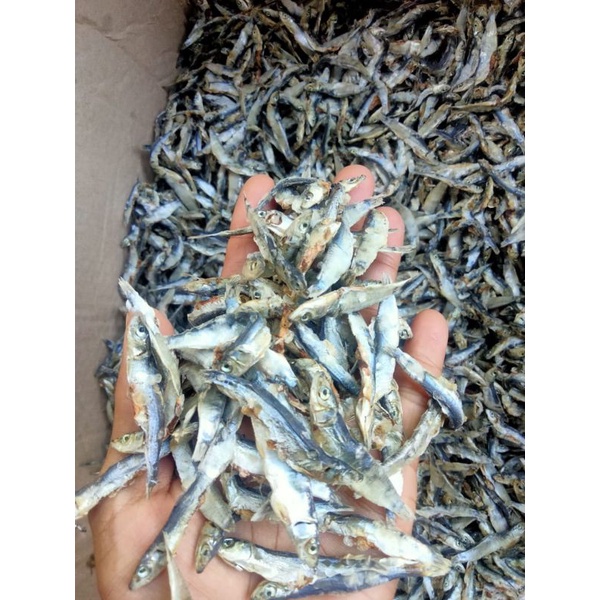 

ikan asin teri batu 100 grm