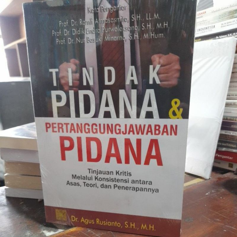 TINDAK PIDANA DAN PERTANGGUNGJAWABAN PIDANA