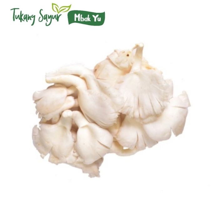 

Jamur tiram 250gr