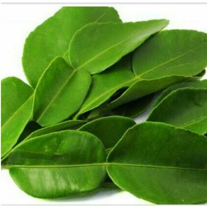 

Daun Jeruk 20gr