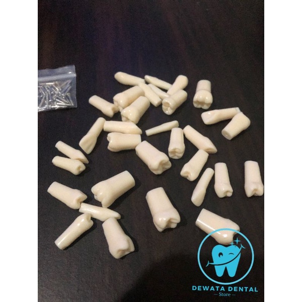 Gigi Refill Typodont Preparasi Restorasi / Preparation Restoration Tooth Model untuk Model Nissin + 