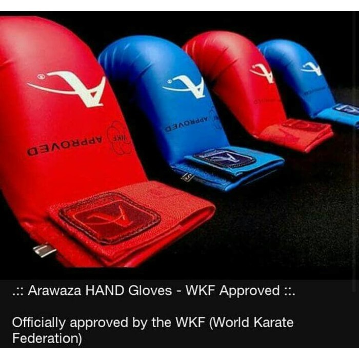 HAND PRO KARATE arawaza hand protector WKF APPROVED