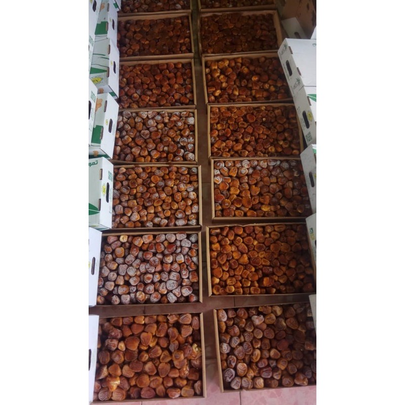 

kurma sukkari fresh