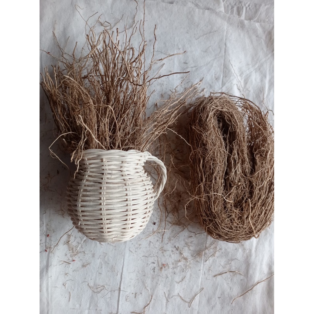 akar wangi kering / dried akar wangi