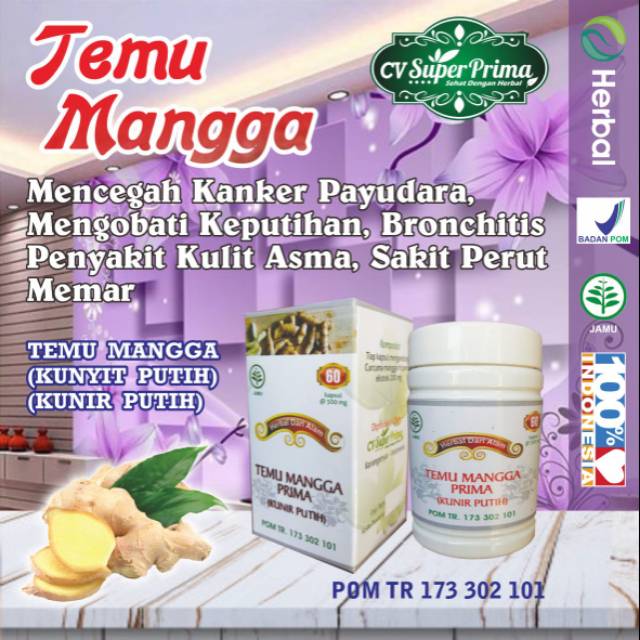 Jual Temu Mangga Kunyit Putih Kunir Putih Anti Kanker Tumor Kista Imunitas Memelihara 6133