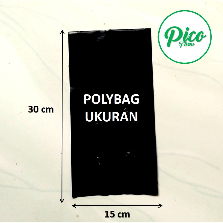 Polybag 30x15