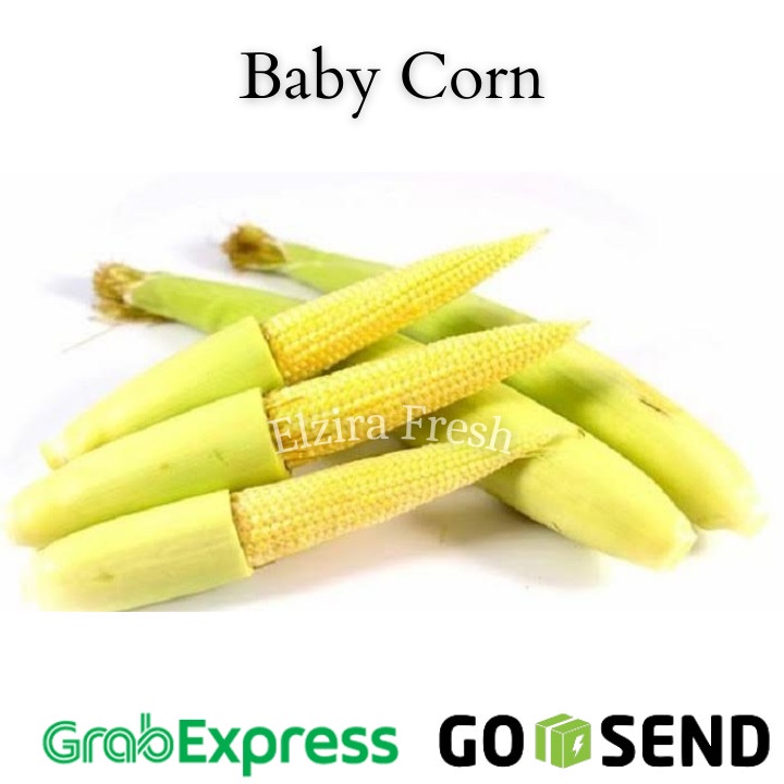 

Baby Corn Jagung Muda Segar / Putren 250gr (Elzira Fresh)