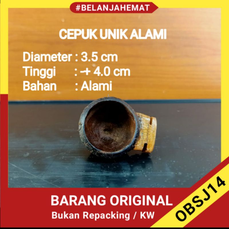 cepuk unik pakan burung pleci ciblek sogon Kolibri dll