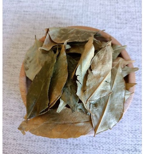

DAUN KEMUNING 100 GRAM / Good Quality / Rempah