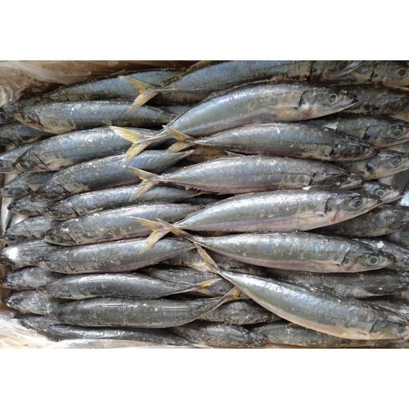 

ikan kembung layang 500gram