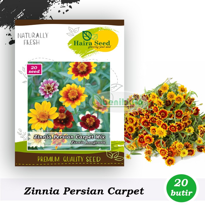 Benih-Bibit Bunga Zinnia Persian Carpet Mix (Haira Seed)