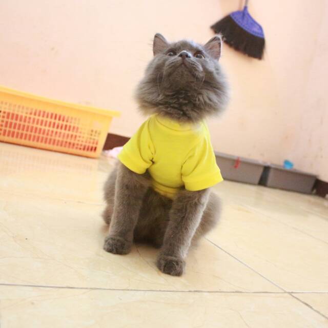 Kaos kuning strip merah untuk kucing &amp; anjing /Jual Baju Kucing Terlengkap &amp; Berkualitas size S-XL