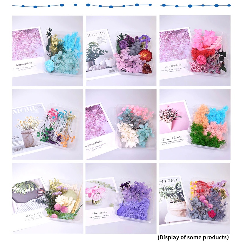 Bunga Kering Aromatherapy Real Dried Flower - A015 - Mix Color