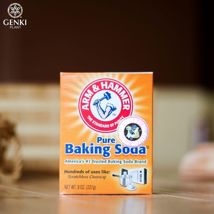 

Ds2011Z Arm & Hammer Pure Baking Soda - 227 G Xz20X1Z11