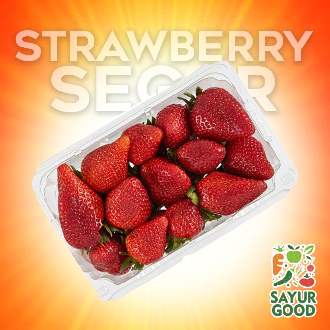 

Stroberi / Strawberry / Buah Stroberi Segar / Fresh Strawberry / Pack