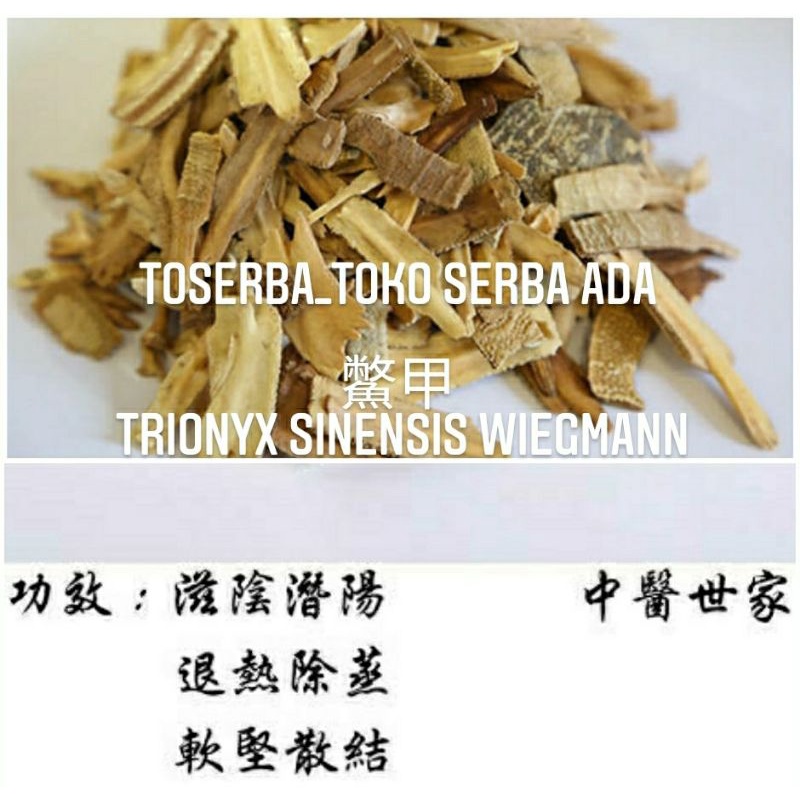 

100gr Herbal Bie Jia 鱉甲 Trionyx Sinensis Wiegmann Grade A