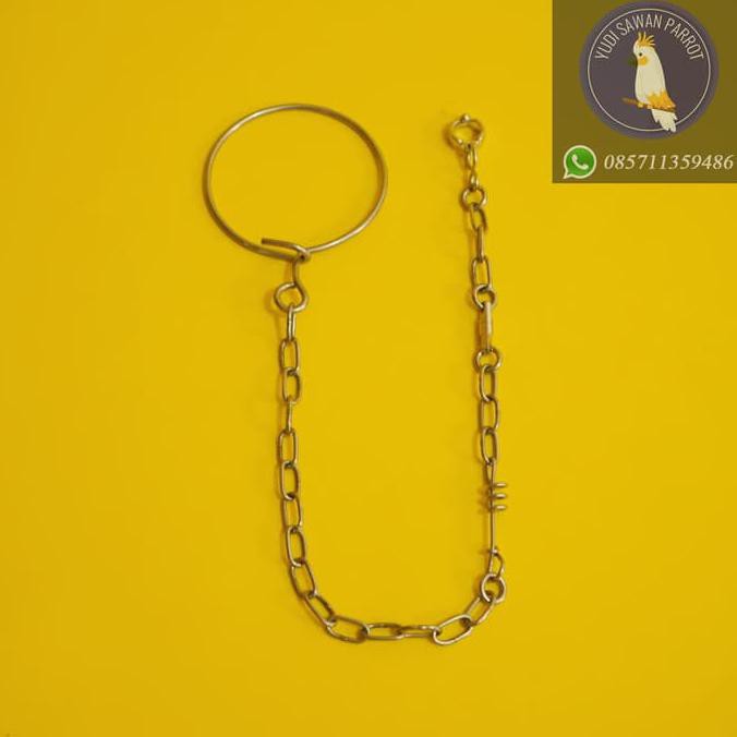 Rantai Rante Burung Paltem Nuri Maluku Ambon Pelangi Duski Tanibar | Makanan Burung