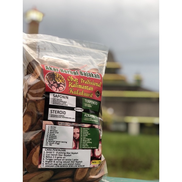 

AKAR KAYU BAJAKAH / KAYU BAJAKAH / BAJAKAH KALALAWIT MERAH PREMIUM 1KG KALIMANTAN ORIGINAL