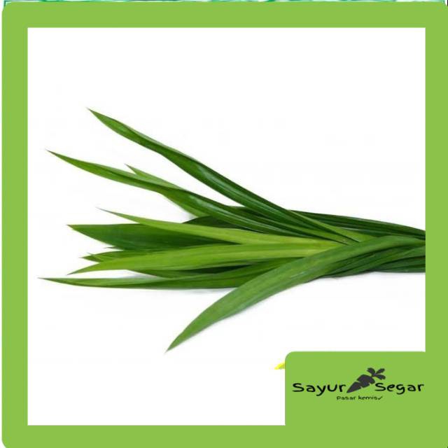 

Daun pandan [1 ikat]