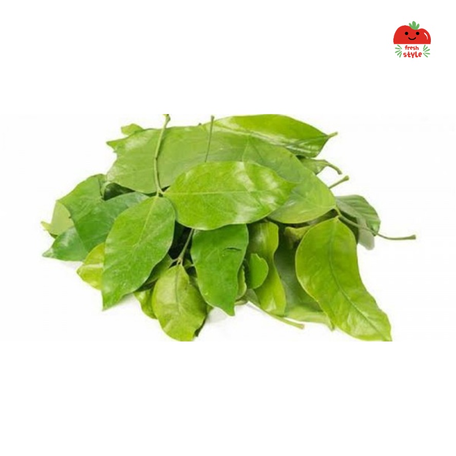 

Daun Melinjo