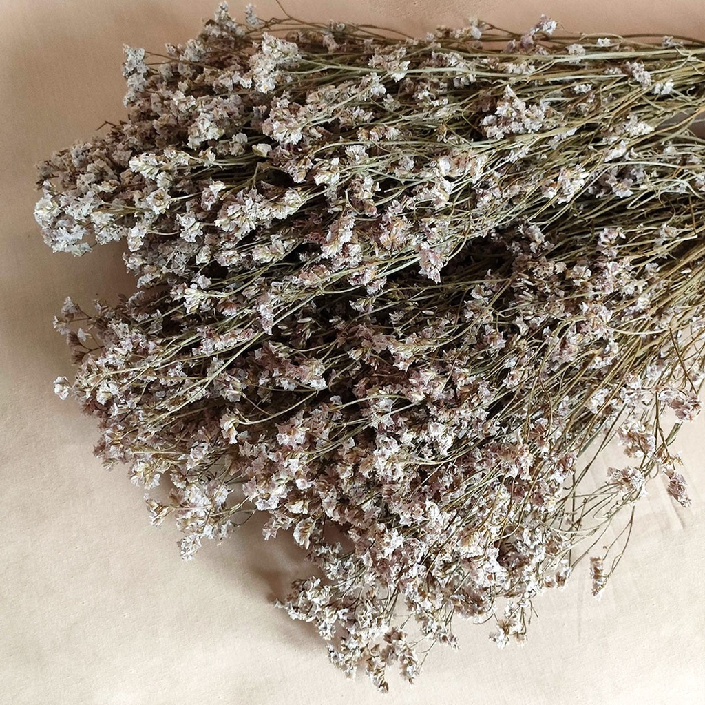 Dried Flower Limonium Bunga Kering Asli Dekorasi Hias Pajangan Buket