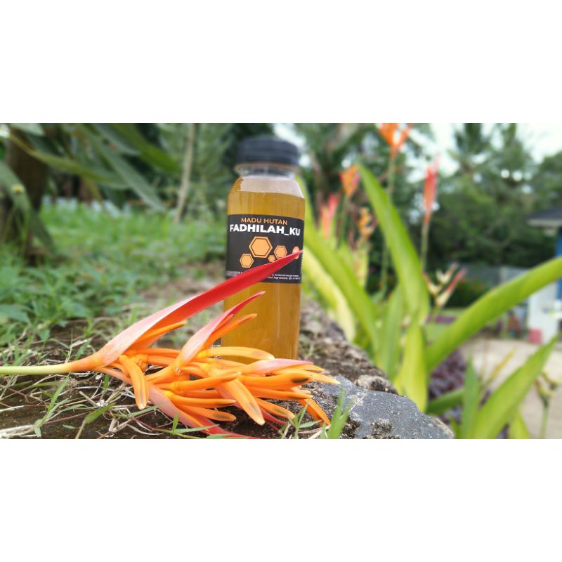 

MADU HUTAN SUMATRA 250ML