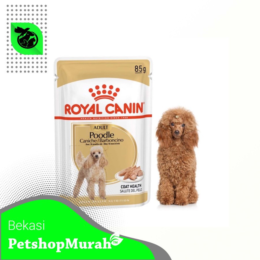 Makanan Anjing Basah Royal Canin Poodle Adult 85gr Dog Wet Food