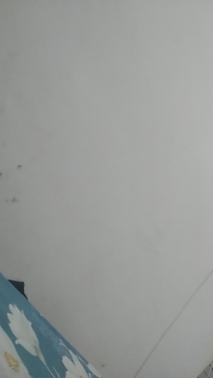 Dedaun Navy Panjang Kemeja Batik Pria Full Furing Bahan Katun Cabut Primisima