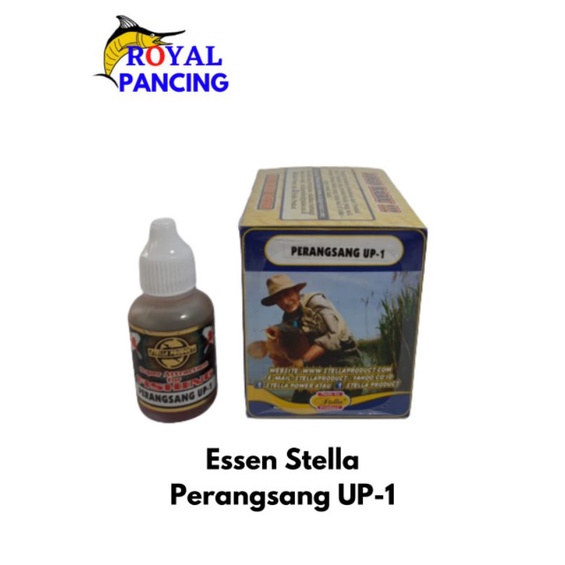 Essen Stella Perangsang up1