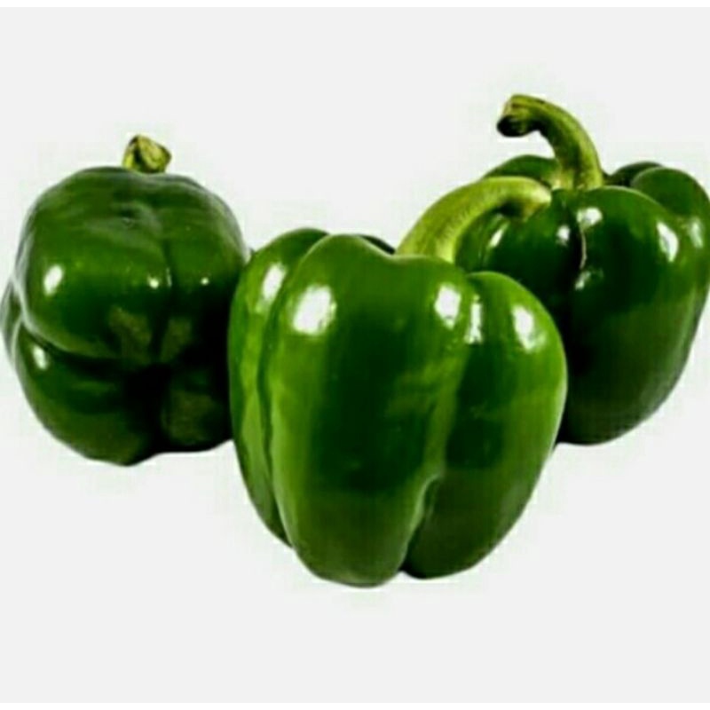 PAPRIKA HIJAU / CABE PAPRIKA HIJAU 500 GRAM