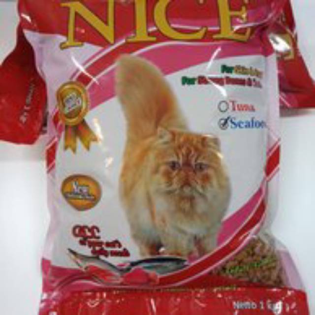 nice makan kucing