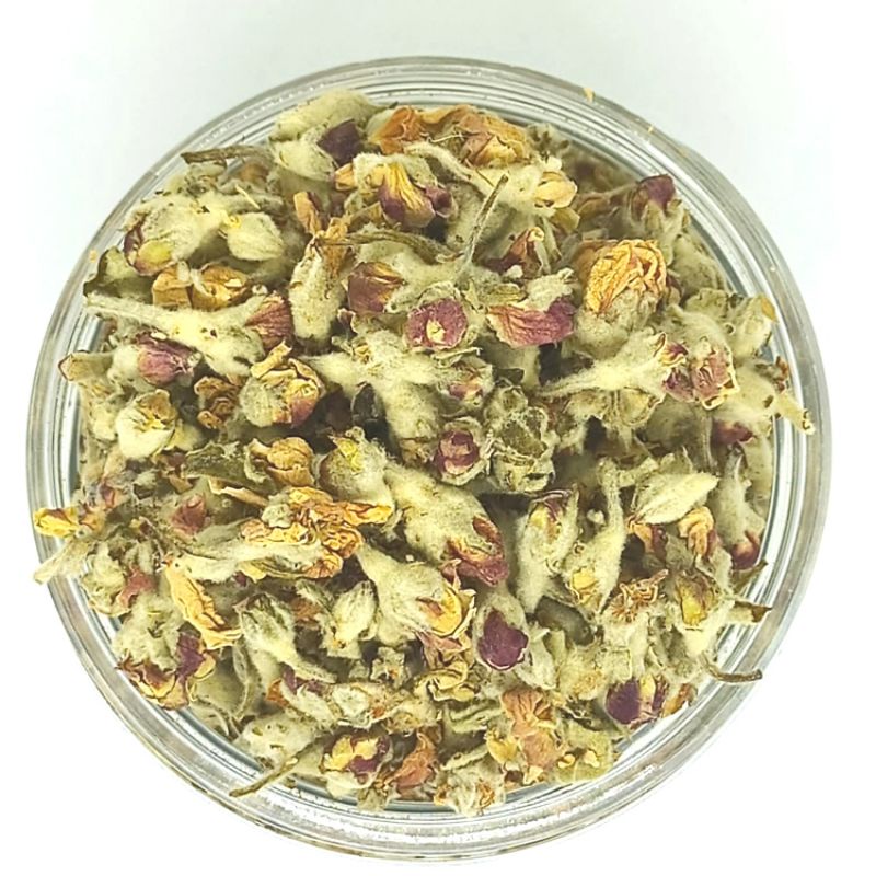 APPLE BLOSSOM TEA TEH BUNGA APEL PURE DRIED APPLE FLOWER DETOX HERBAL PREMIUM TISANE