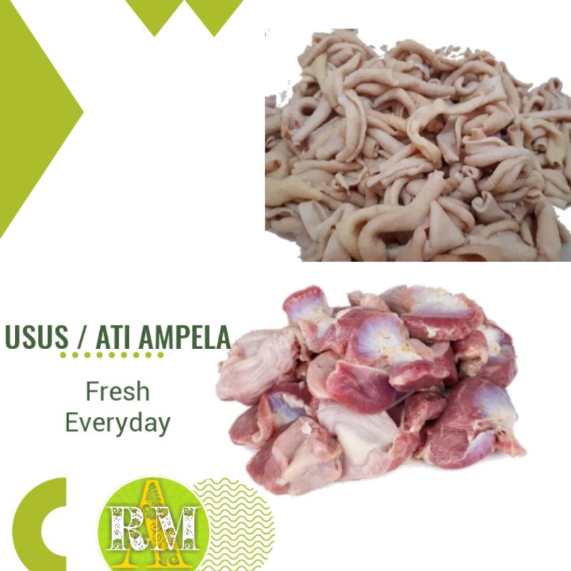 USUS AYAM / ATI AMPELA