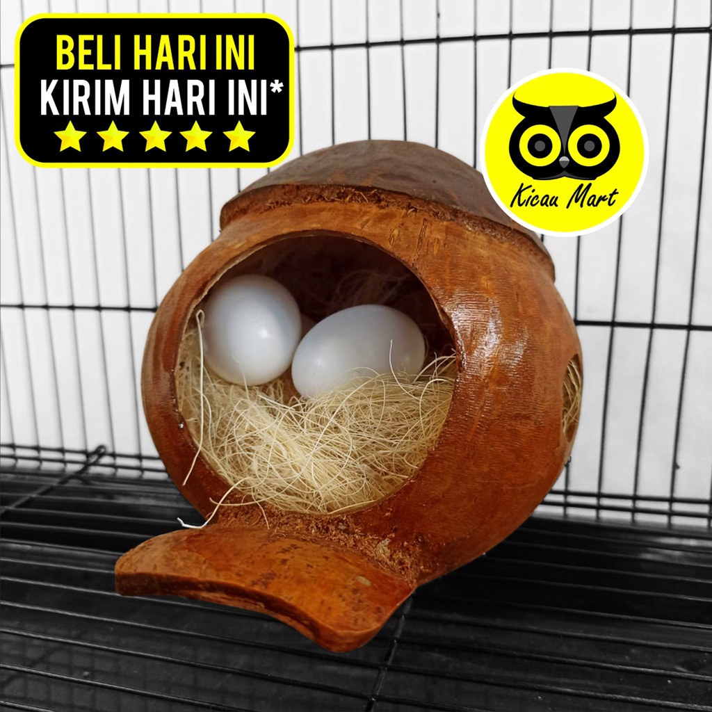 GLODOK BATOK KELAPA JEMBATAN GLODOK BAJING JEMBATAN GELODOK SARANG TERNAK BURUNG LOVEBIRD PARKIT NURI FALK RUMAH MAINAN SARANG SUGAR GLIDER HAMSTER