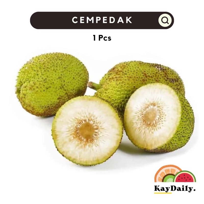 CEMPEDAK SEGAR 1 BUAH
