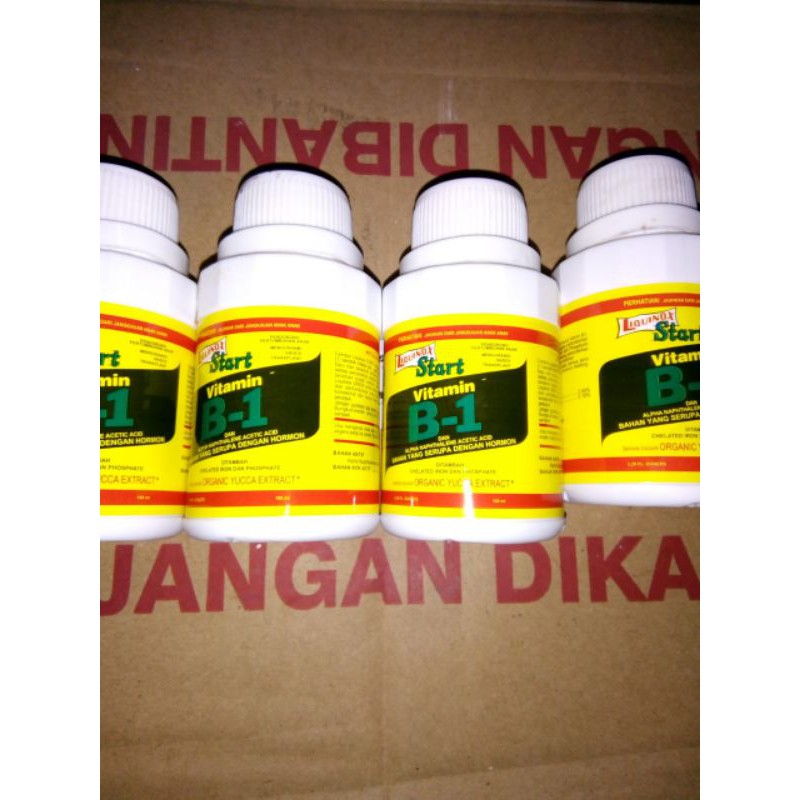 Jual Liquinox Vitamin B1 100ml | Shopee Indonesia