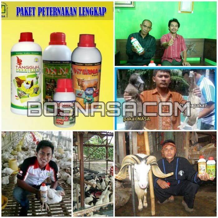Paket Vitamin Lengkap Produk Peternakan Nasa Terlaris