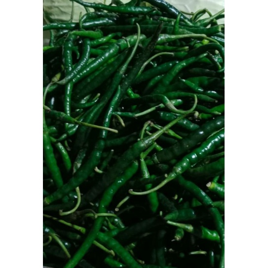 

cabe ijo keriting 250gr