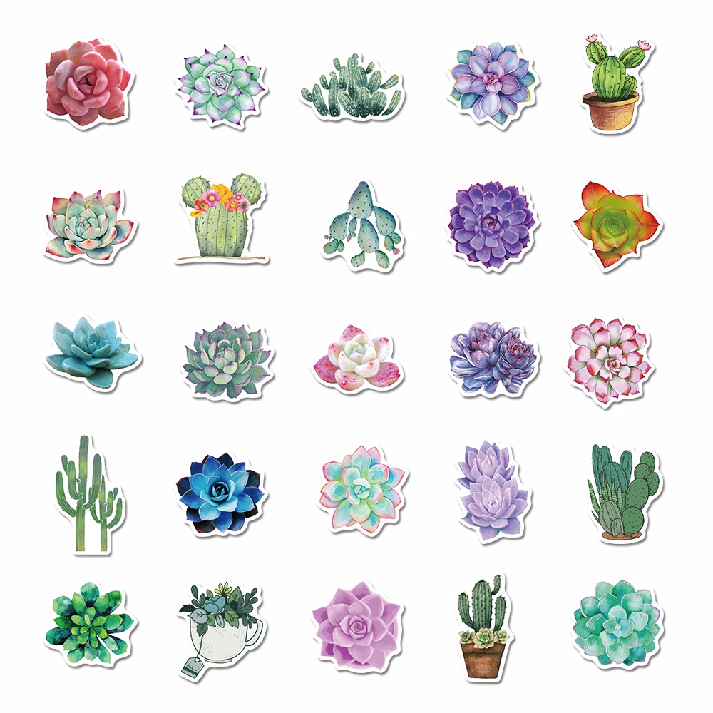 50 Pcs Stiker Desain Kartun Kaktus Sukulen Tahan Air Untuk Dekorasi Notebook