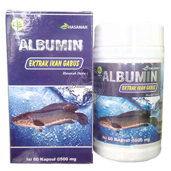 

Albumin Ekstrak Ikan Gabus
