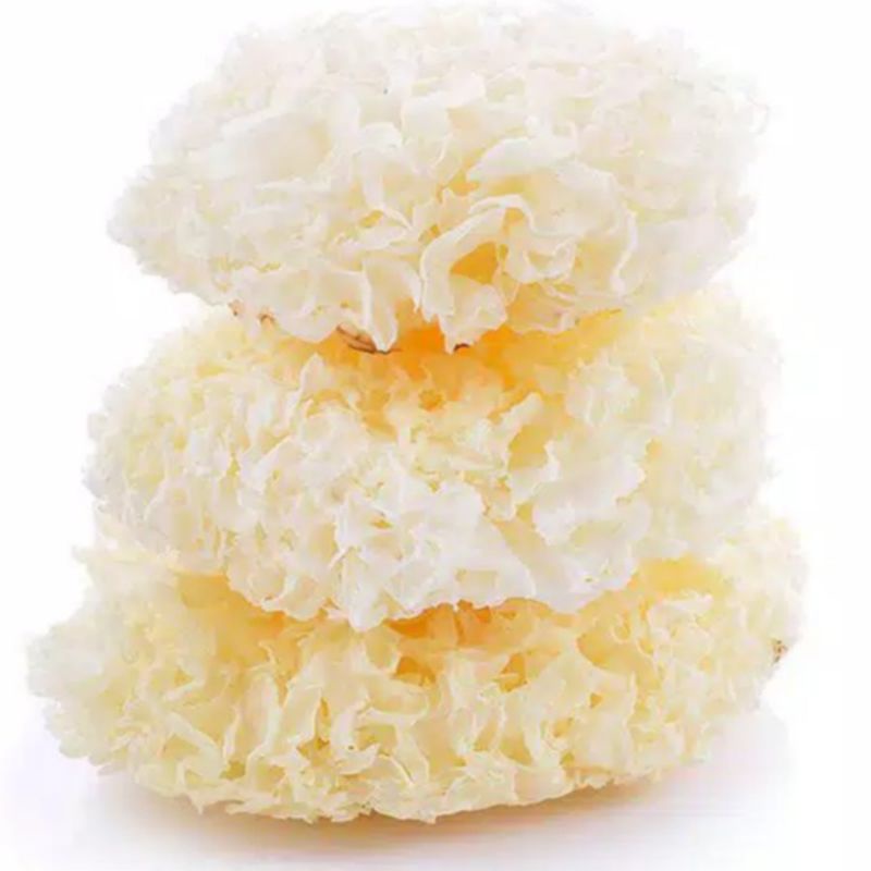 

JAMUR PUTIH SUP 25 gram BAI MU ER WHITE SNOW FUNGUS