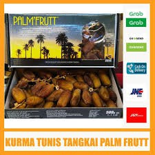 Kurma Palm Fruit - Kurma Palm Frutt - Kurma Tunis Palm Fruit - Kurma Tunis