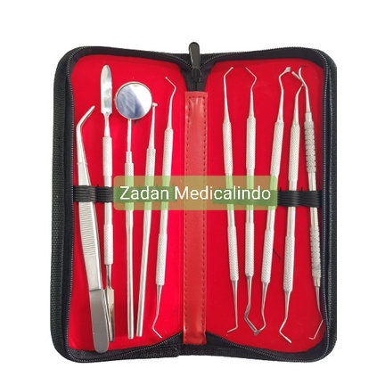 Dental Set Isi 10 / Diagnostic Set Of 10 / DENTAL INSTRUMENT SET 10