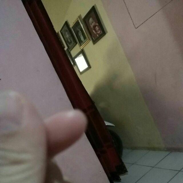 Asbak Kayu Jati Model Angsa.