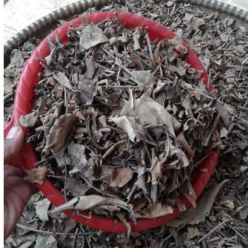 

Teh Benalu ( Herbal Alami ) 250 gram