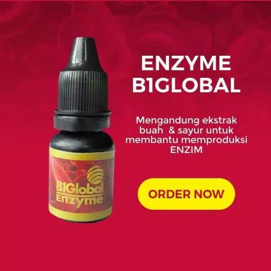 B1GLOBAL ENZYME ORI