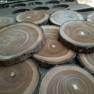 Wood slice potongan kayu jati  diameter 8 cm teak wood 